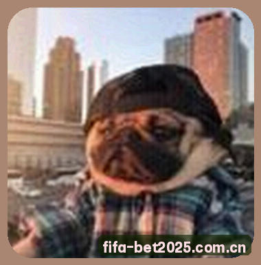 赵敏
