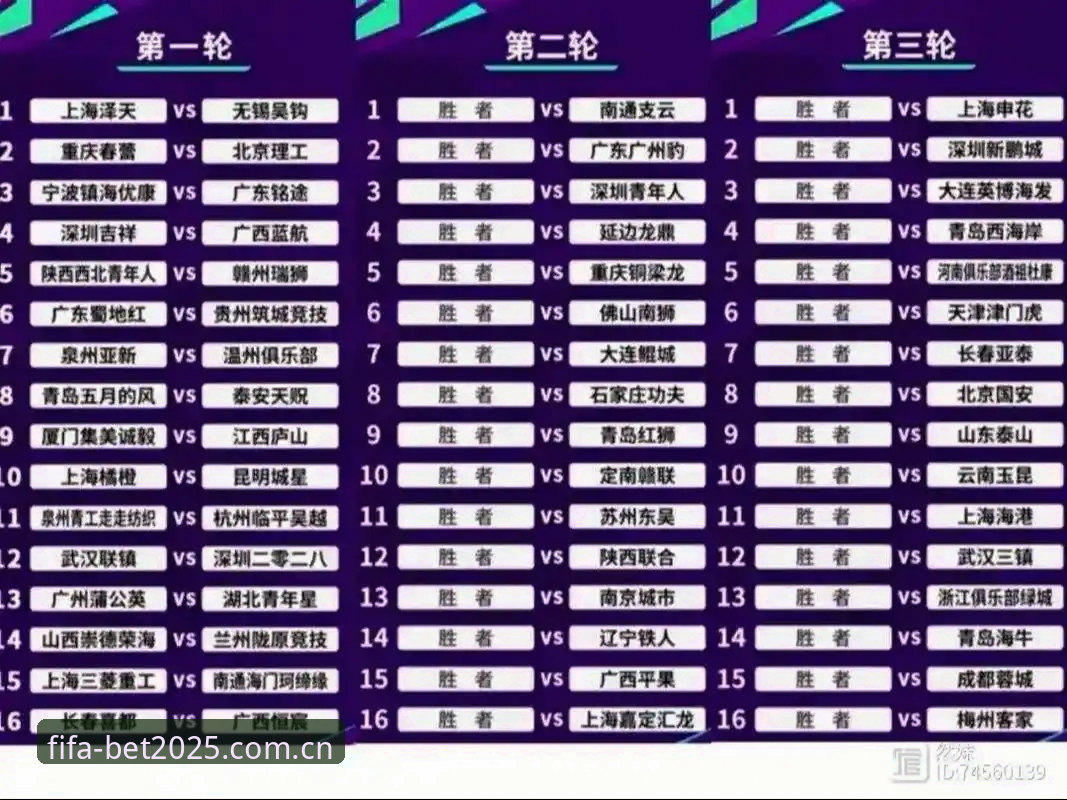 2025世界杯体育彩票APP解读足协禁足名单全新视角指南